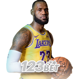 JILIBB sportsbook mobile app interface